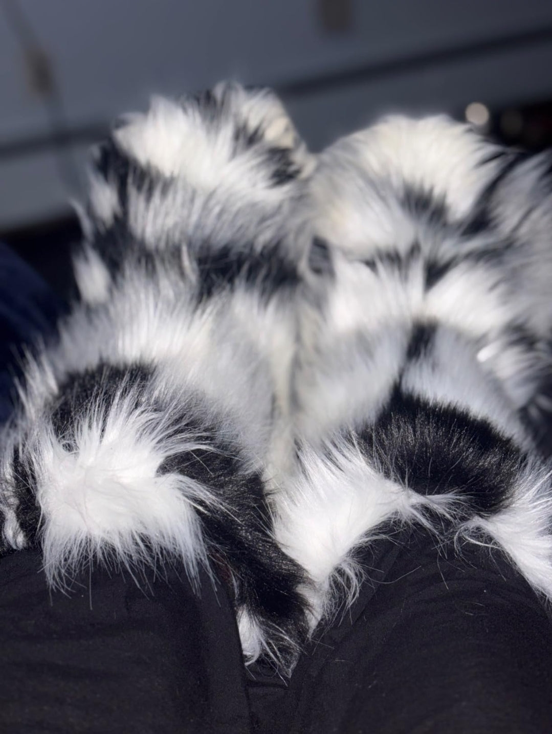 Fur Boots (Ankle)